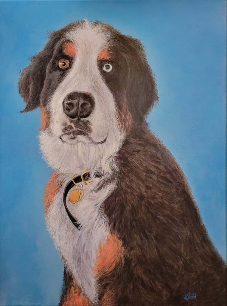 "Jethro" (Fred's Dog-see blog) 24"x18" acrylic on gallery wrap canvas. Painted in 2024. Huge doggie who loved to imagine himself as a lap dog. This was done for Fred & Kellie Grant.