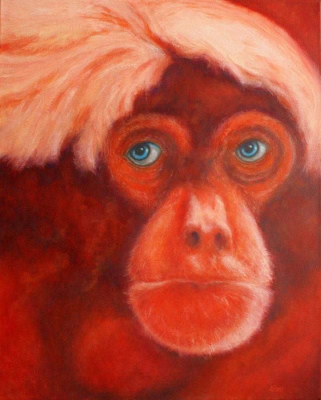 "Contemplation In Red" 30"x24" oil on gallery wrap canvas Painted in 2012