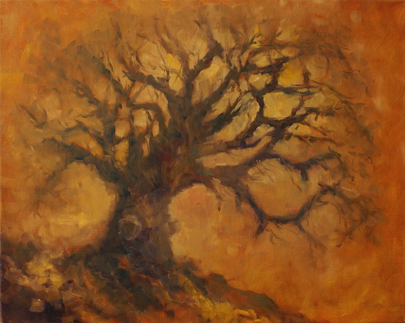 "Dead Wood" oil on gallery wrap canvas Painted in 2012